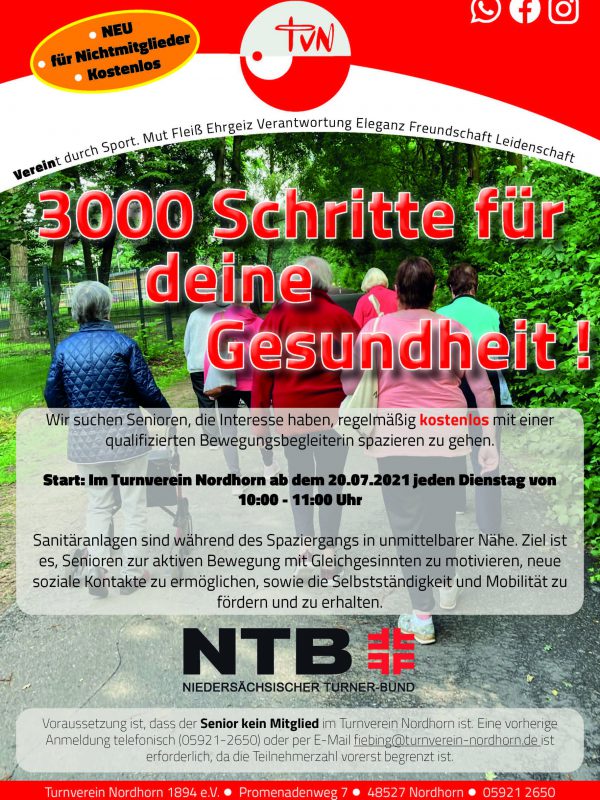 Flyer 3000 Schritte